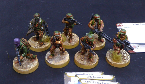 Bemalte rebel trooper - bemalte,